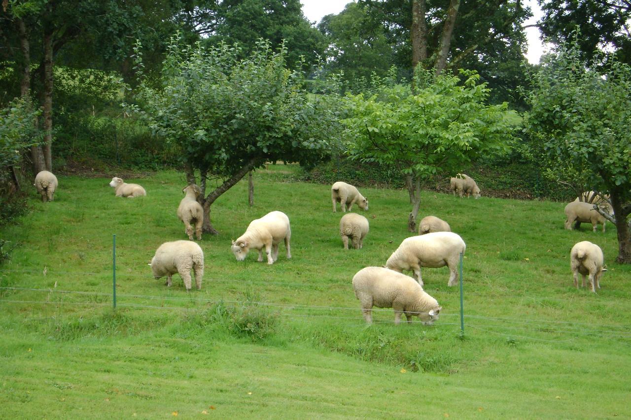 Meadowland Farm Bed & Breakfast Dolton Luaran gambar